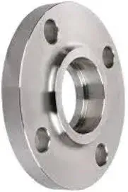 Stainless Steel Flanges