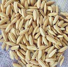 Hybrid Paddy Seeds (H-200)