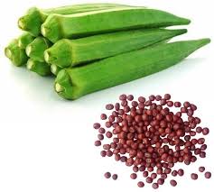Okra/Bhindi Seeds